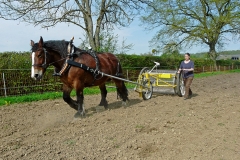 2018-2c