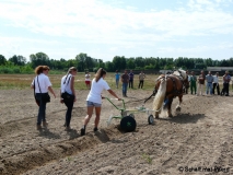 Picture-10