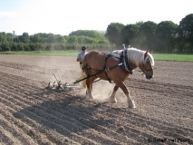 Picture-4