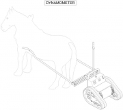 Picture-1