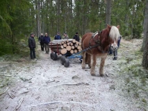 Picture-4