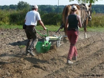 Picture-7