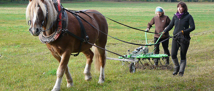 Organic farming in Bienenwerder (Müncheberg / Germany)