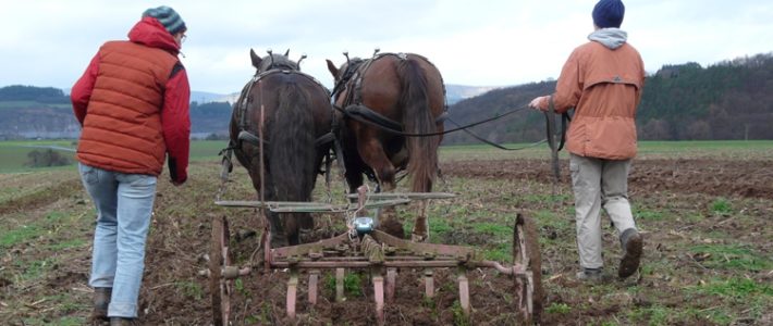 IGZ Arbeitskreis Landwirtschaft (Licherode / Germany)