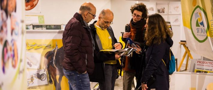 Transition Days 2018 (Luxembourg-City)