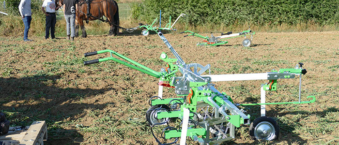 Field trials of modern horse drawn cultivators (Tuntange / Luxembourg)