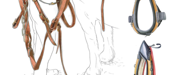 The harness for draught horses